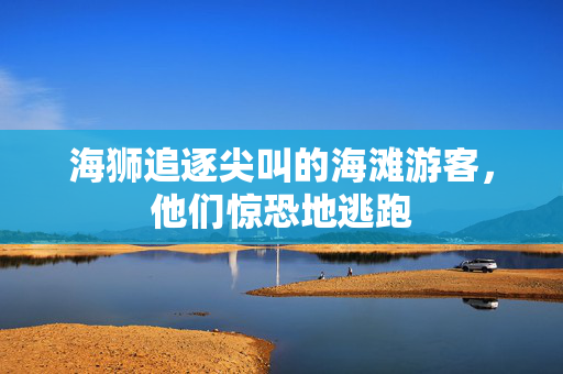 海狮追逐尖叫的海滩游客，他们惊恐地逃跑