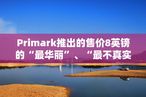 Primark推出的售价8英镑的“最华丽”、“最不真实”手袋是购物者们迫切想买的