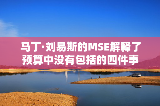 马丁·刘易斯的MSE解释了预算中没有包括的四件事