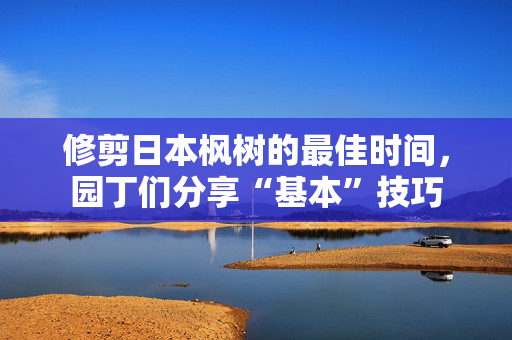 修剪日本枫树的最佳时间，园丁们分享“基本”技巧