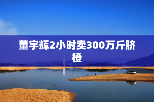 董宇辉2小时卖300万斤脐橙