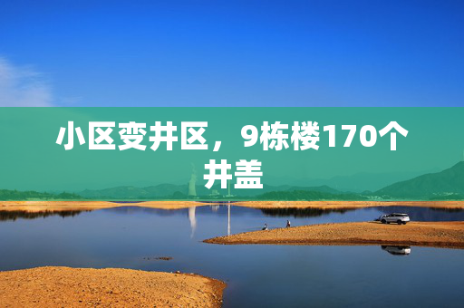 小区变井区，9栋楼170个井盖